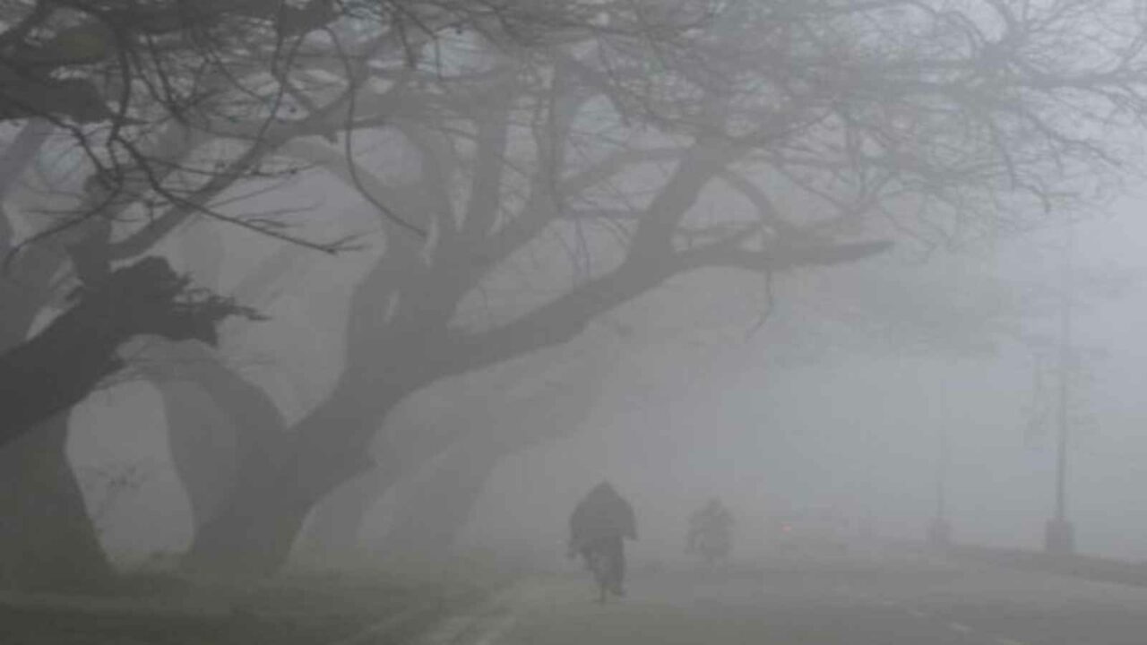 Cold conditions prevail in Odisha