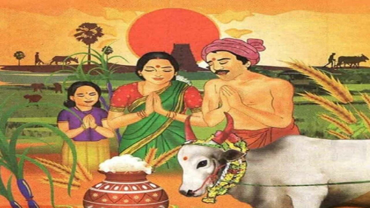 Kaanum Pongal 2023: Date, Significance, History and Celebrations of last day of Harvest Festival in Tamil Nadu