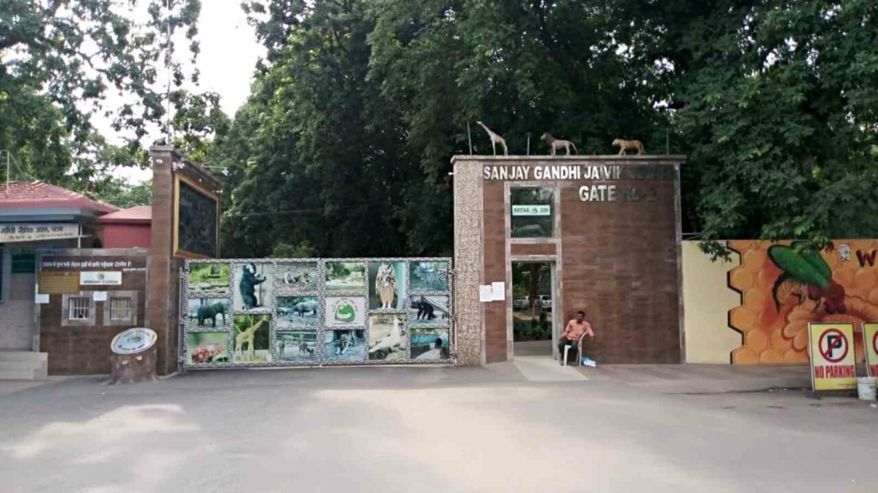 Patna Zoo to get bison, zebra, dhole & black swan from Mysuru under animal exchange programme