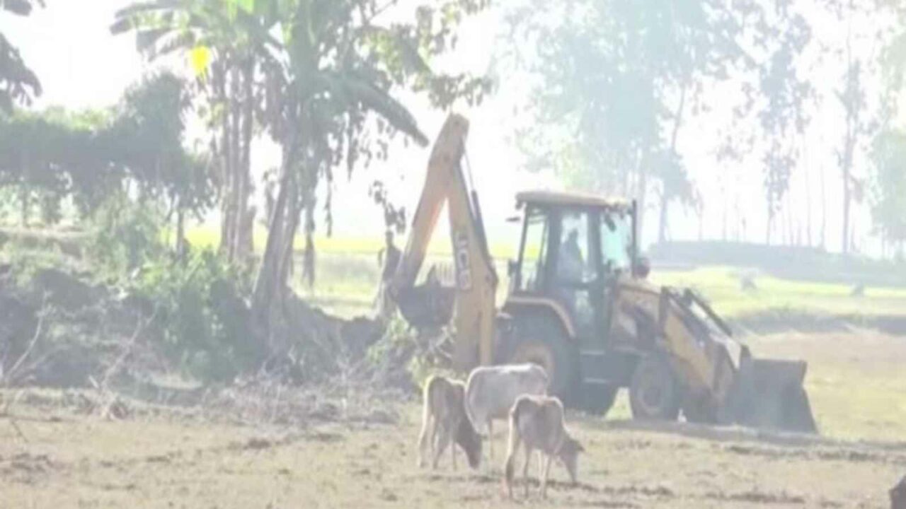 Assam: Eviction drive to clear 500 hectares of forest land in Lakhimpur
