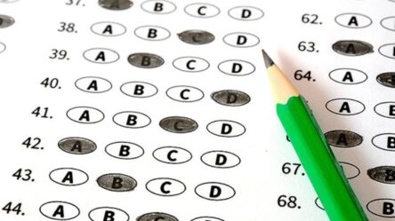 CTET 2023 answer key