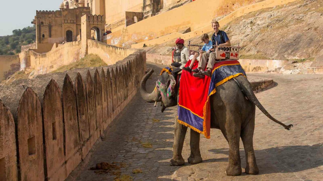 PETA writes to Rajasthan CM to rehabilitate two Amber Fort elephants