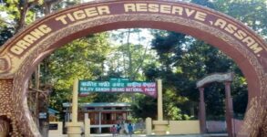 Royal Bengal tiger found dead in Assam's Orang National Park