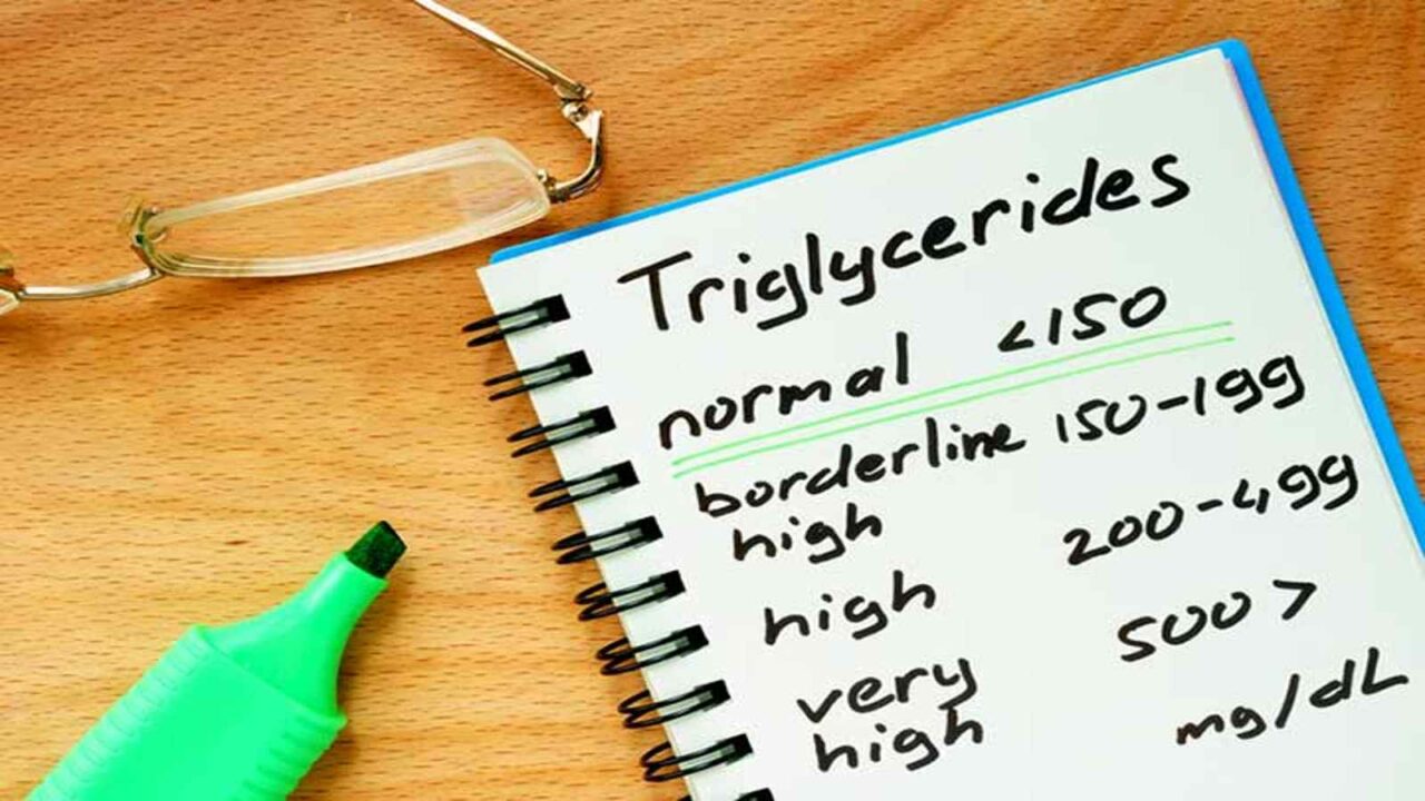 National Triglycerides Day 2023: Date, History and How To Observe This Day