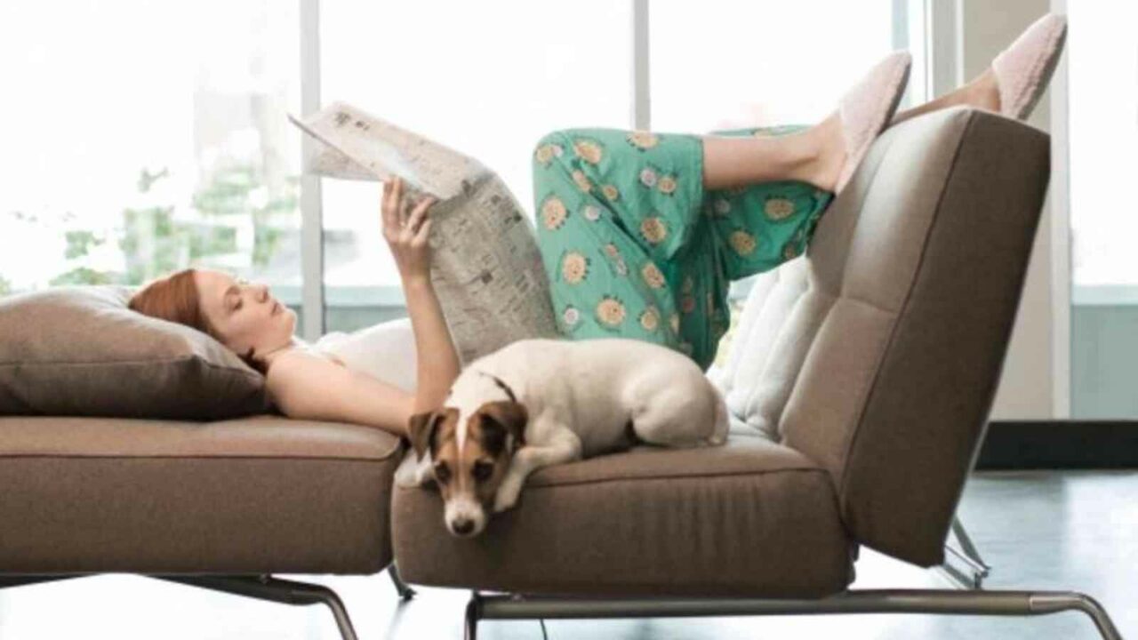 National No Housework Day