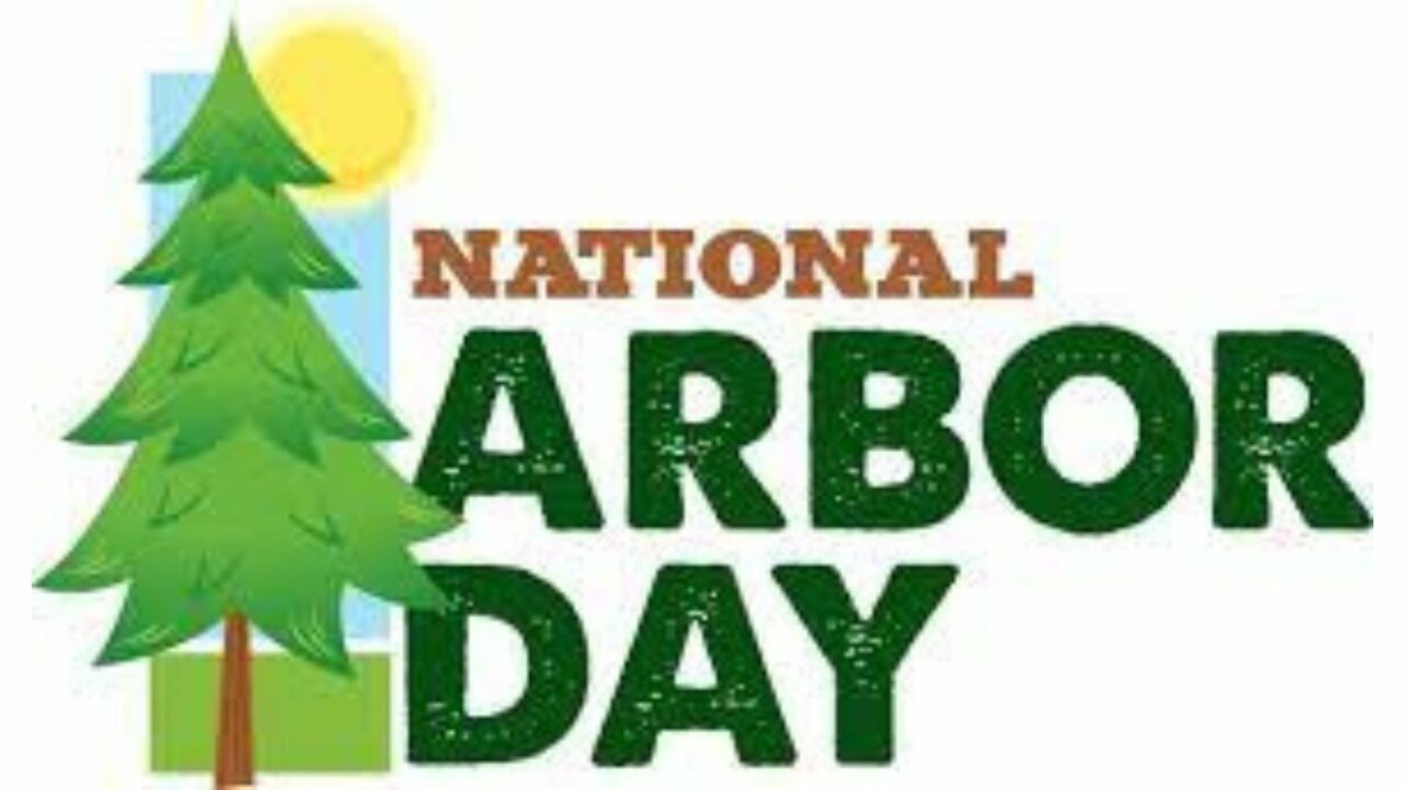 National Arbor Day 2023 Date, History, Activities and Facts