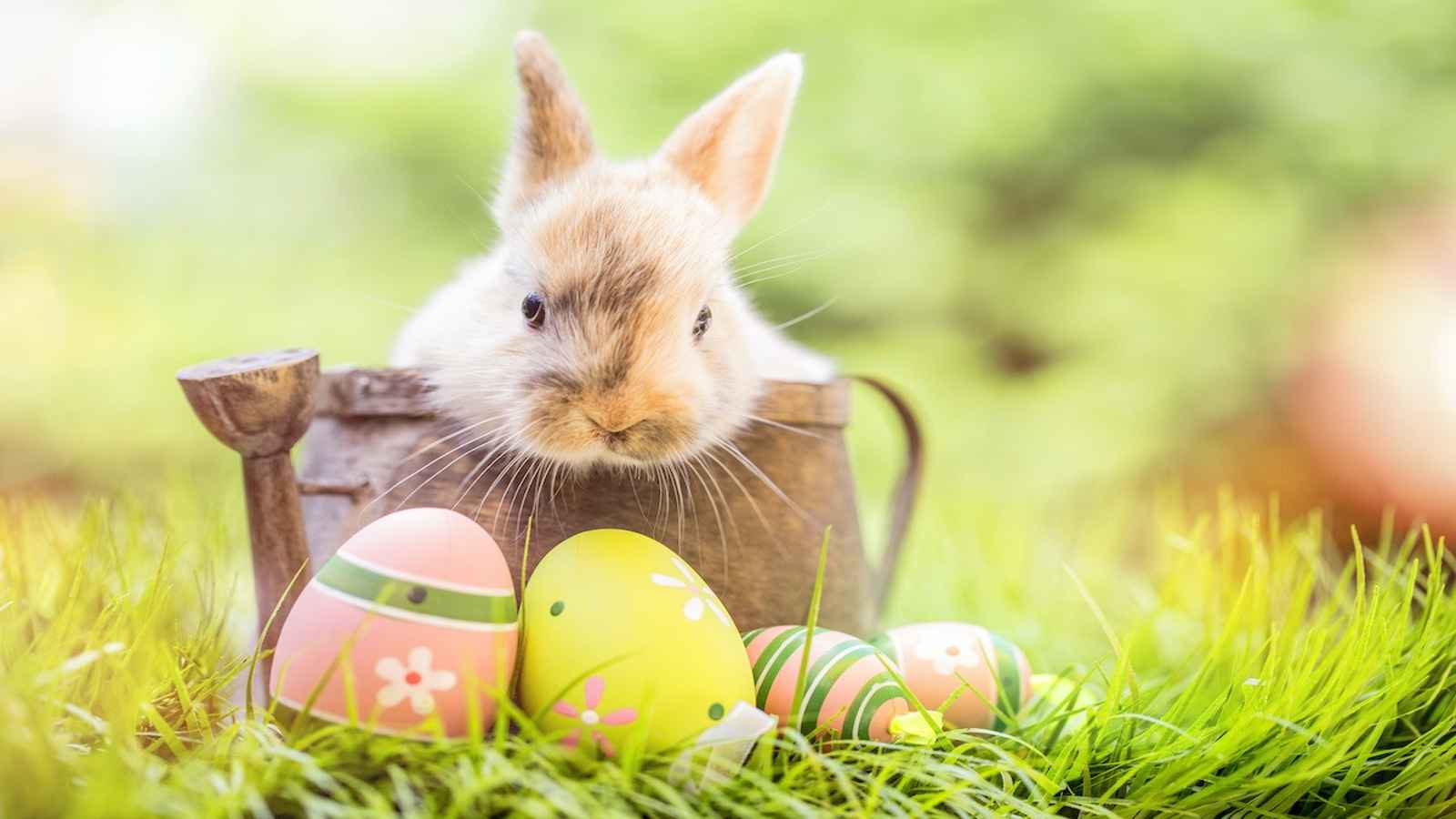 Easter 2023 Date, History, Activities, Significance and Facts
