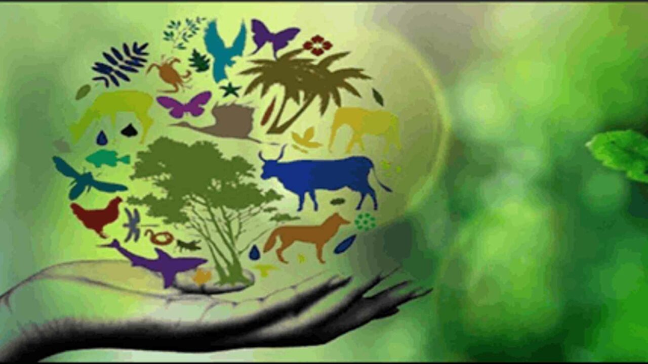 International Day for Biological Diversity 2023: Date, History, Importance