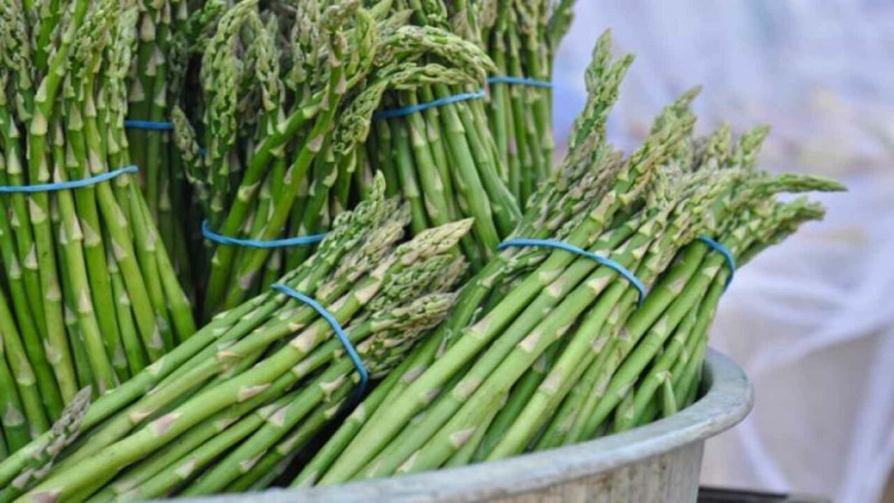 National Asparagus Day 2023 (US): Date, History, Five Asparagus Facts