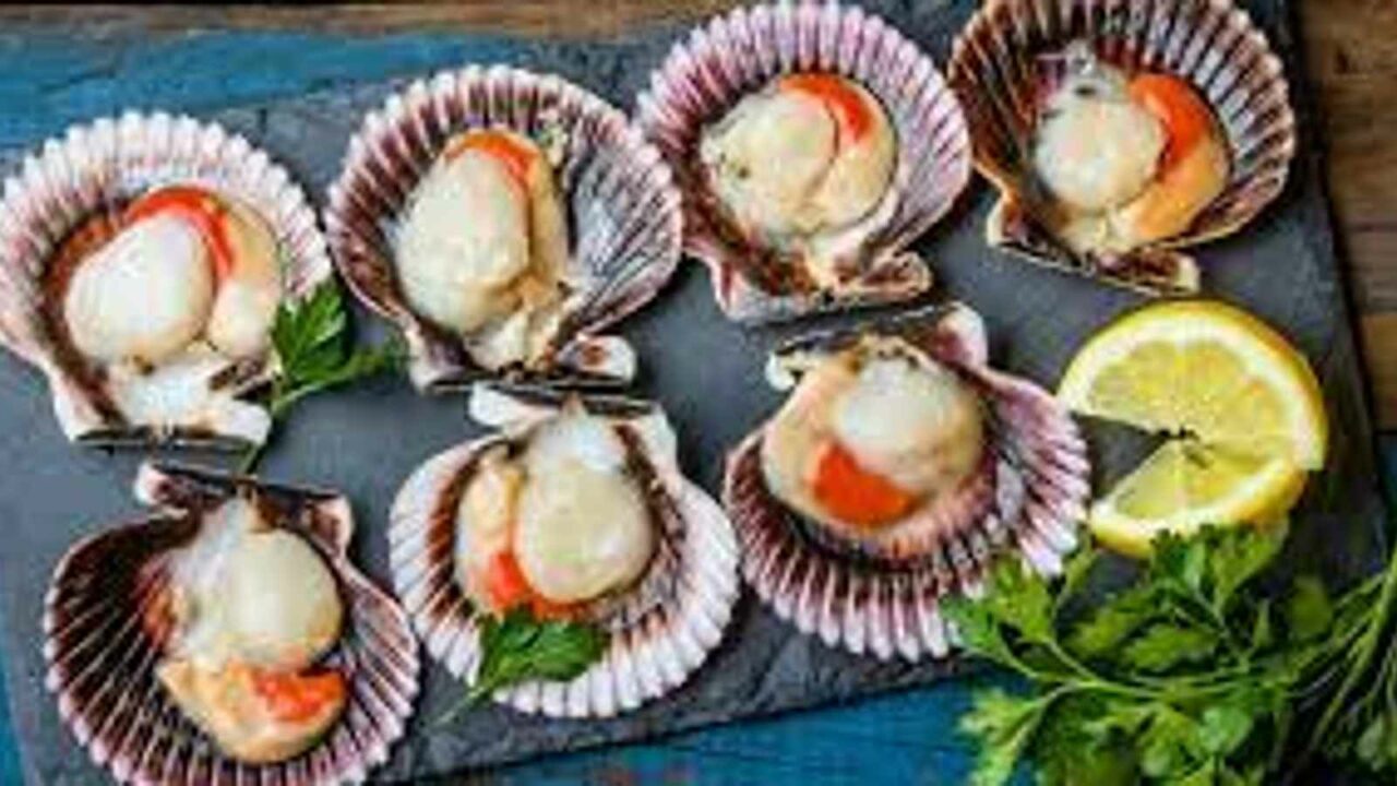 National Coquilles Saint Jacques Day 2023: Date, History and Facts