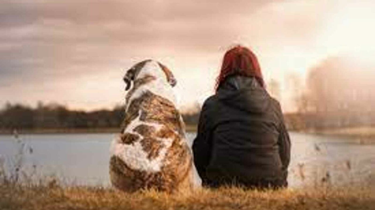 National Dog Mom’s Day 2023: Date, History, Significance and Facts