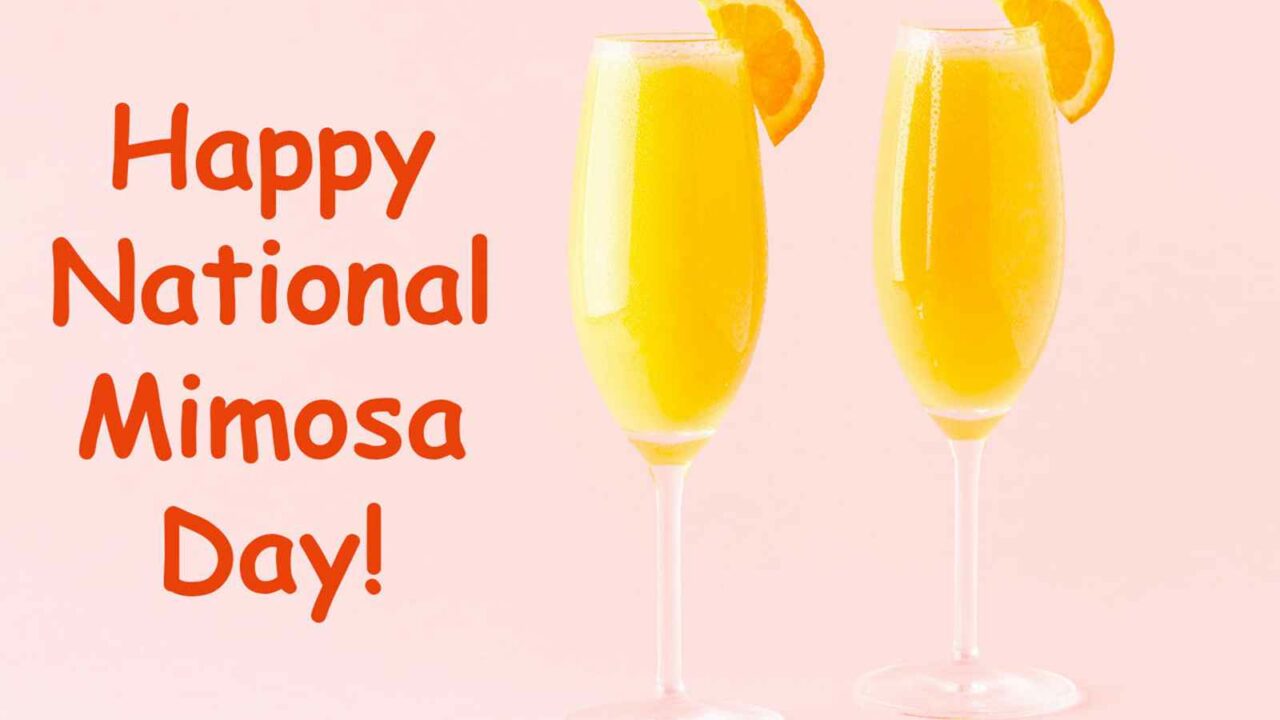 National Mimosa Day 2023 Date, History, Significance and Facts