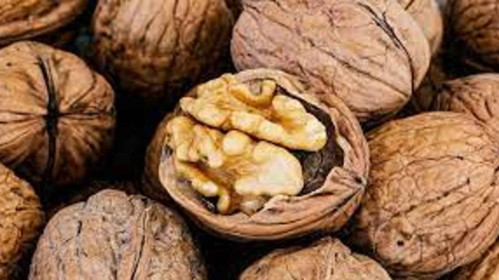 National Walnut Day 2023: Date, History, Significance and Facts