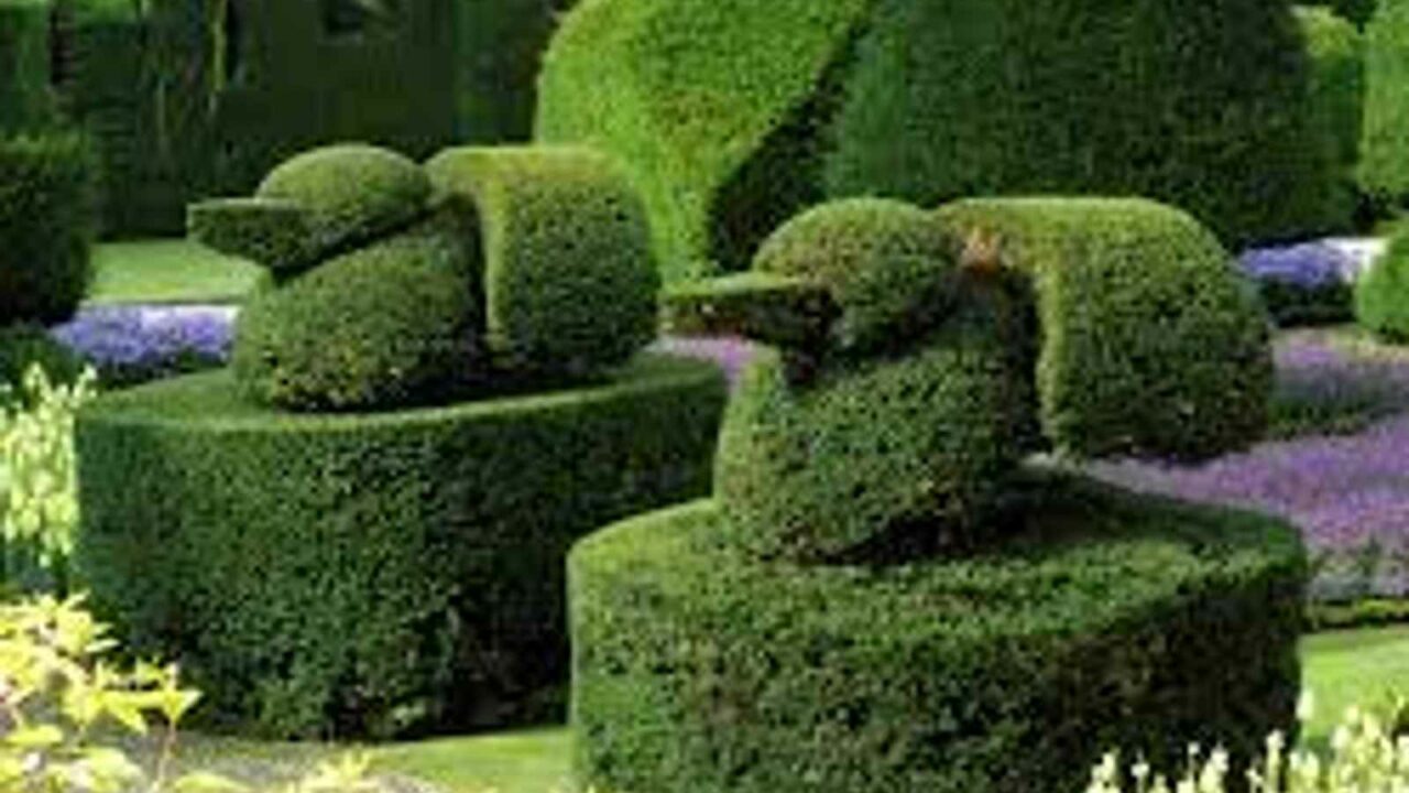 World Topiary Day 2023: Date, History, Significance and Facts