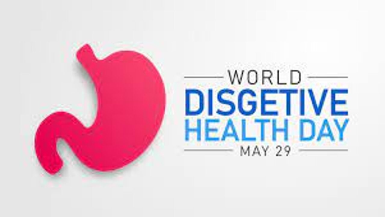 World Digestive Health Day 2023: Celebration, History and Facts about Obesity