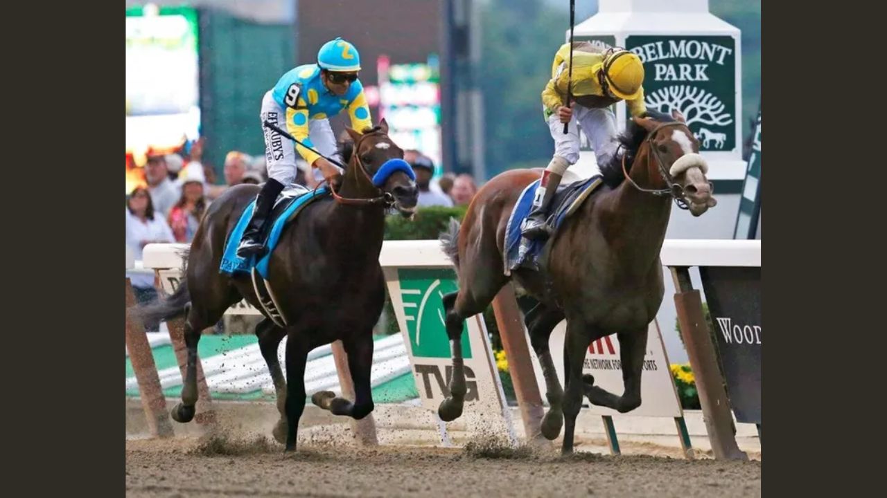Belmont Stakes 2023 contenders