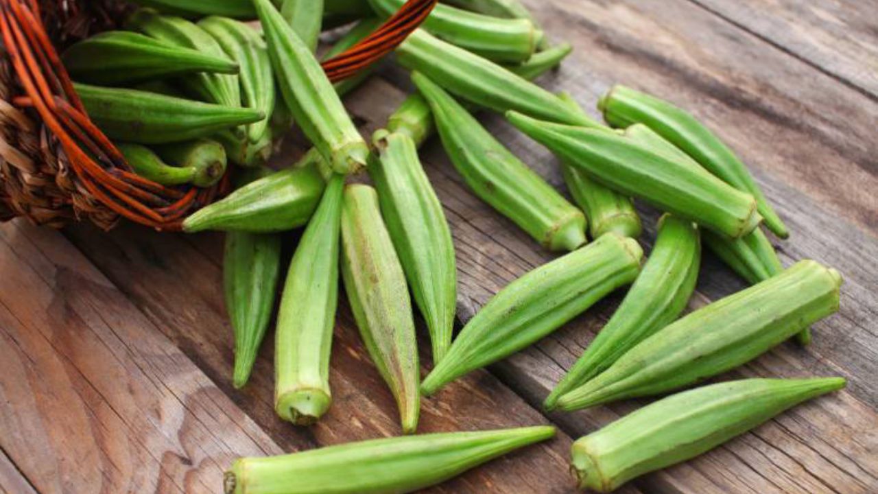 From diabetes to weight loss, bhindi can do wonders for you! Know ways to eat it
