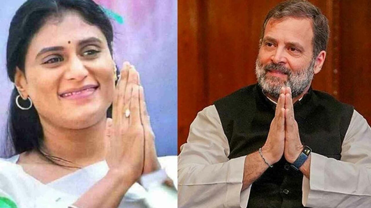 Sharmila greets Rahul Gandhi as rumours of YSRTP's likely merger with Congress circulate
