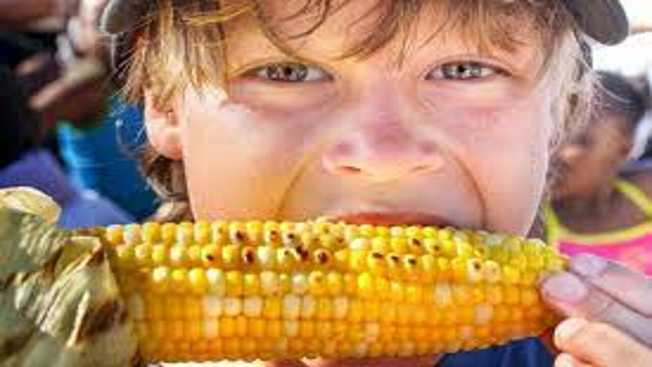 National Corn on the Cob Day 2023 (US)