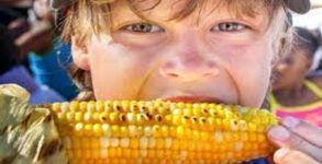 National Corn on the Cob Day 2023 (US)