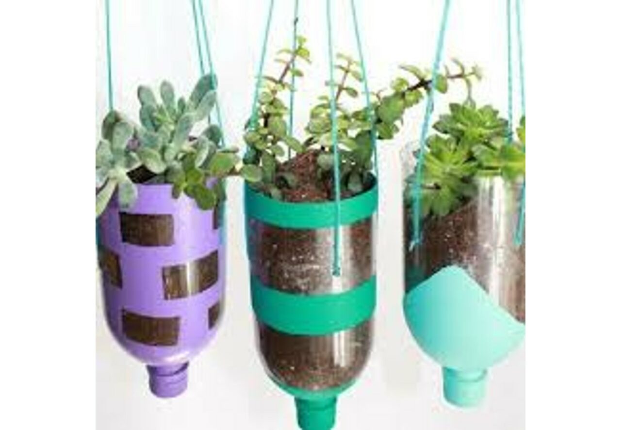 Upcycling Day 2023 (US): Facts, Dates and History