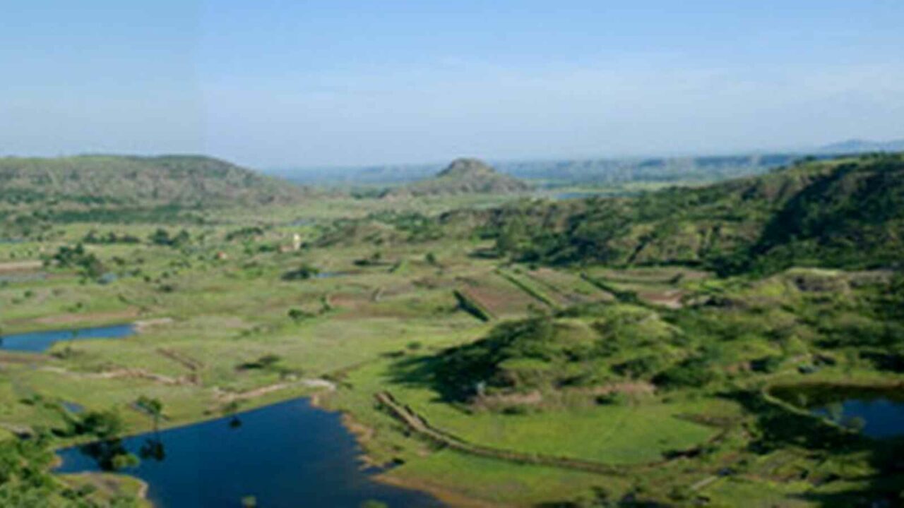 Chhattisgarh: Tribal 'green warrior' motivates community to grow forest on 400 acre land