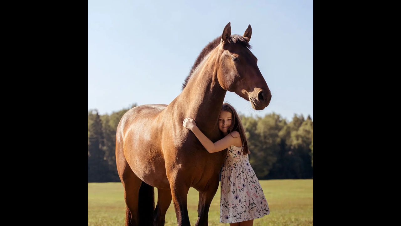 Celebration of the Horse Day 2023