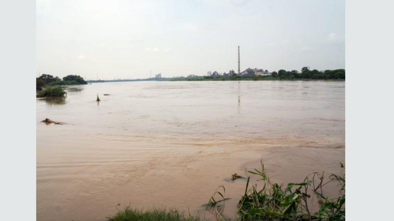 Yamuna Water Level in Delhi Decreases to 206.02 Metres