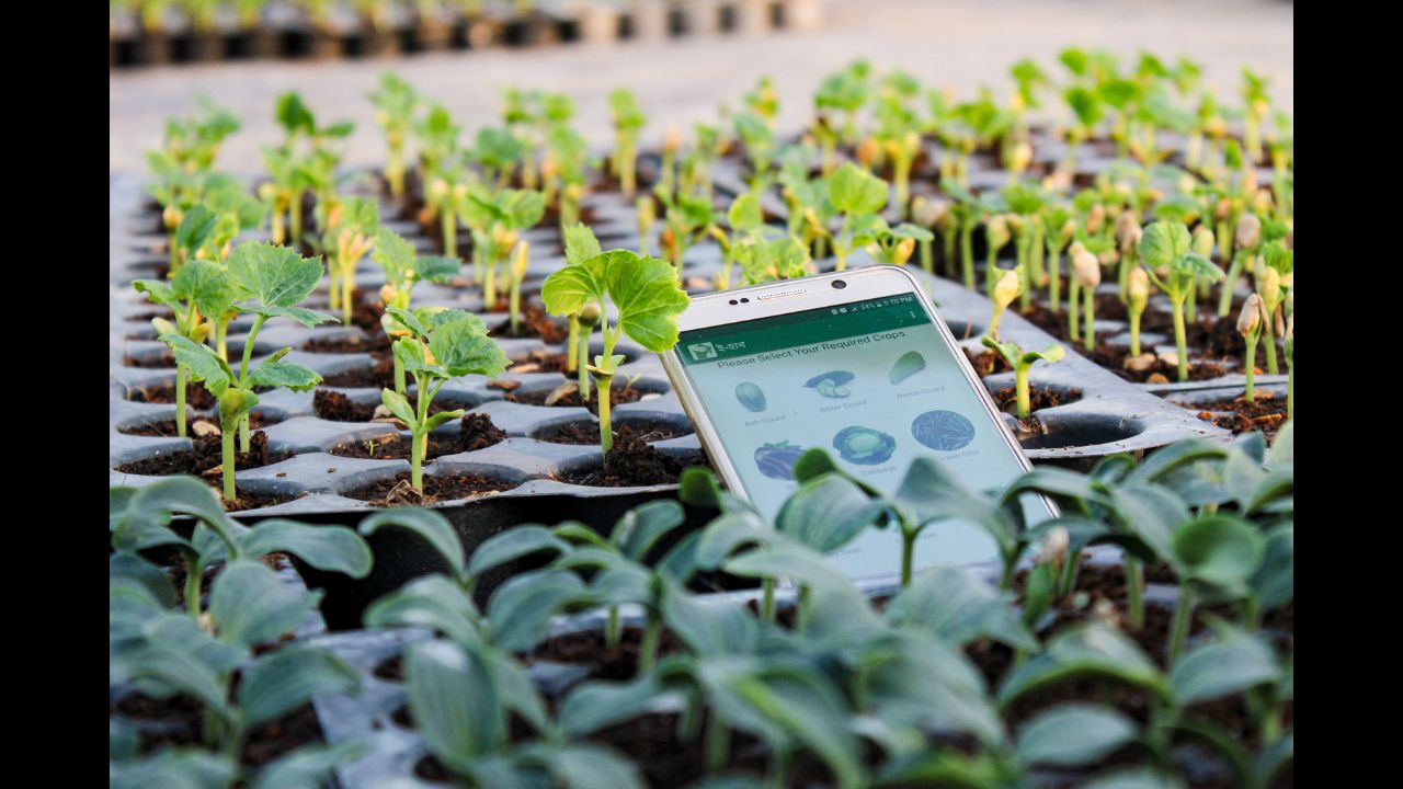 A Guide to Preparing for a Brighter Future with Health and Livelihood in Focus