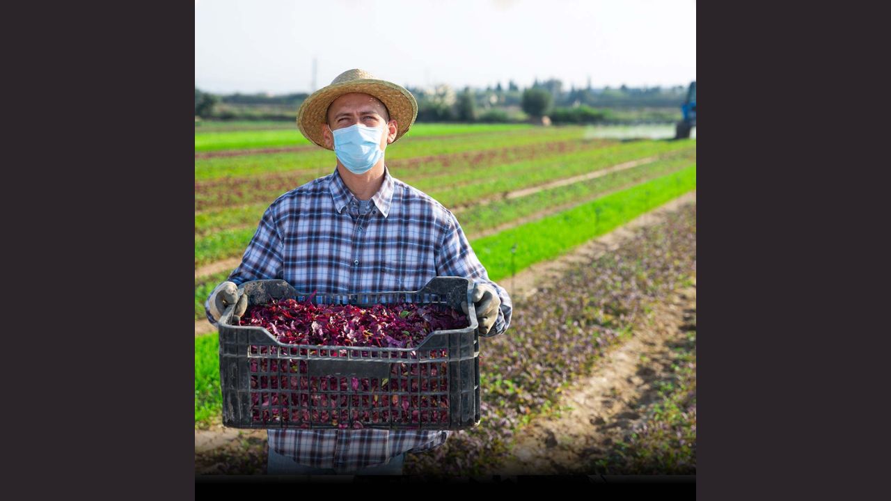Farmworker Appreciation Day 2023