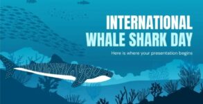 International Whale Shark Day 2023