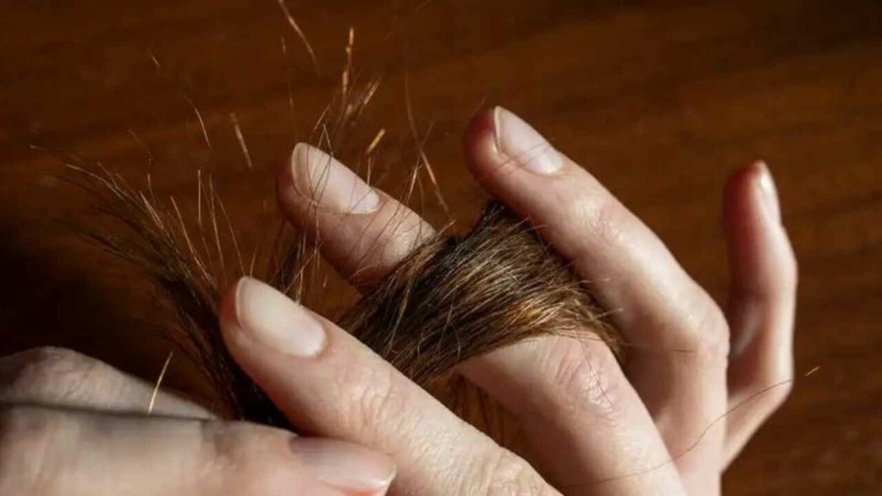 Home Remedies for Split Ends: Tips for Healthy Hair