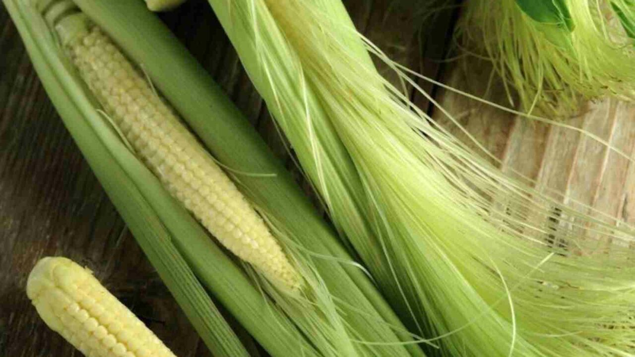 5 Healthy Reasons to munch Baby Corn: Health With Taste