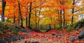 First Day of Autumn 2023 Date, History, Facts, Activities