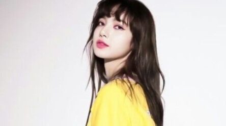 Lisa of BLACKPINK and her family are being targeted in a cyber-hate campaign