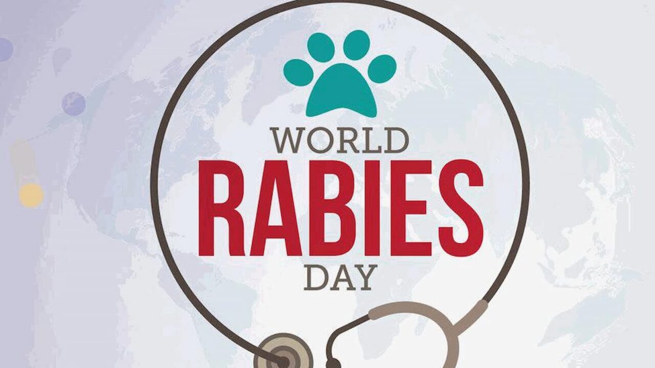 World Rabies Day 2023: History, Dates, Activities, and FAQs