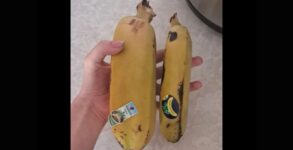 Viral Photo of Oversized Banana Stuns Internet