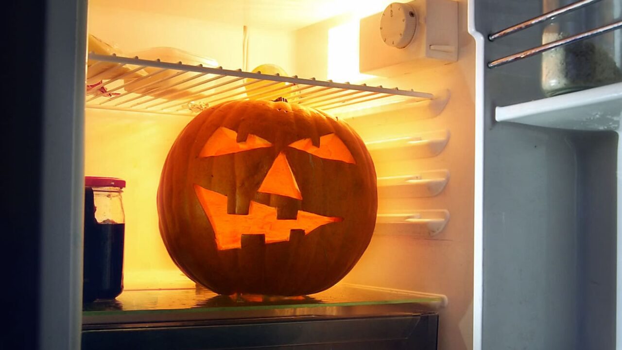 Haunted Refrigerator Night 2023 History, FAQs, Dates, Activities, and Facts About Refrigerators