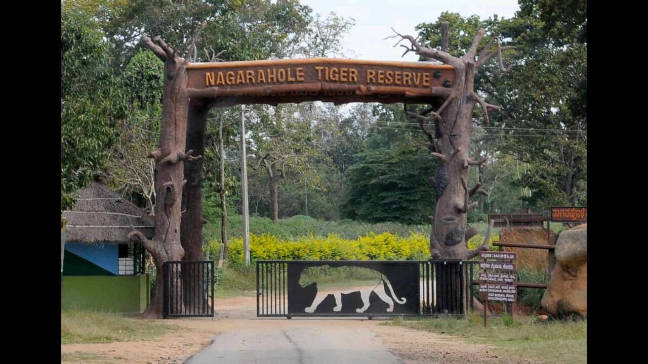 Nagarhole National Park in Karnataka Introduces Tourist Insurance