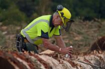 New Zealand Labour Day 2023 FAQs, Dates, History, Activities, and Facts About Labor