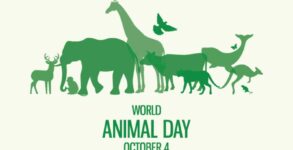 World Animal Day 2023 History, Activities And FAQs