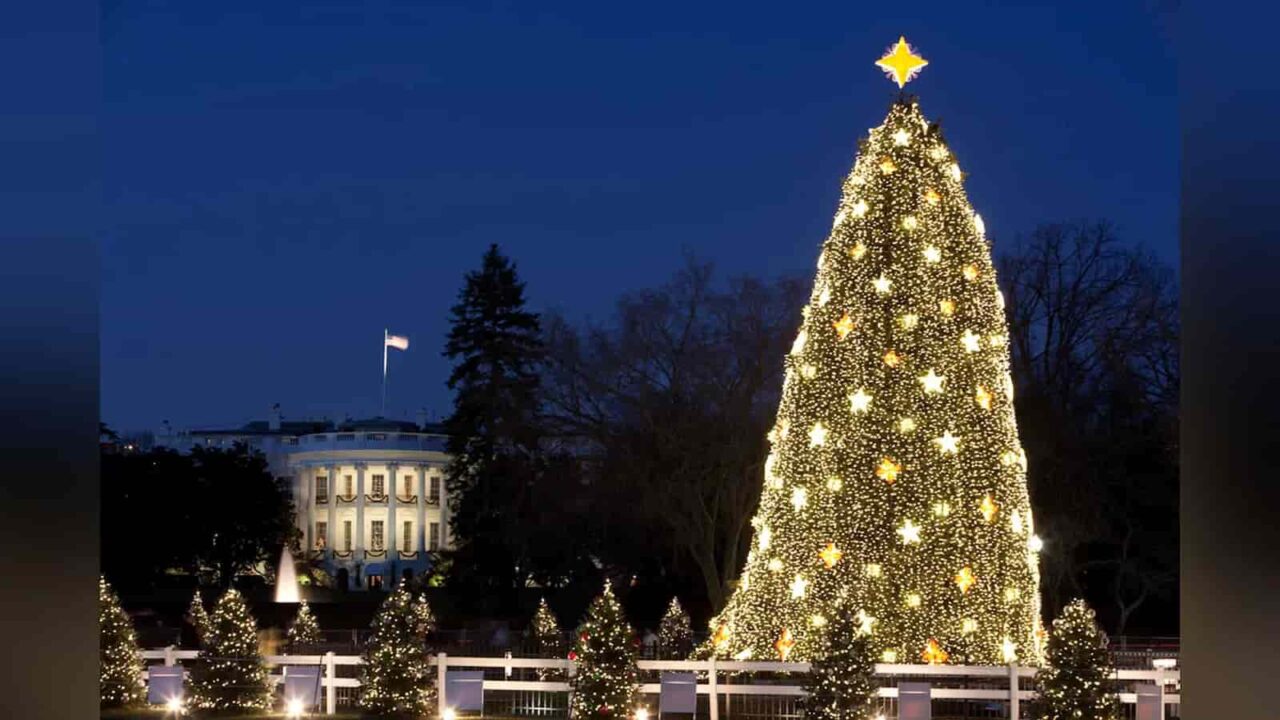 National Christmas Lights Day 2023 Activities and Dates
