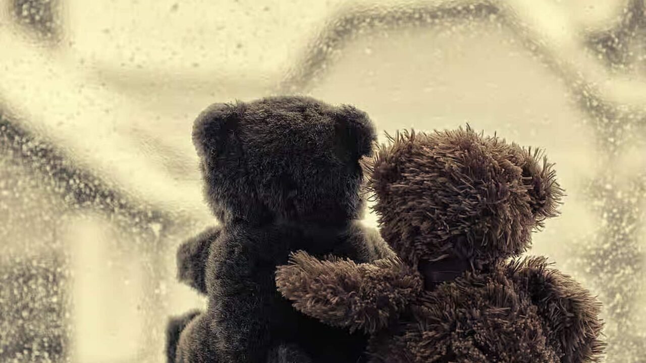 National Hug a Bear Day 2023 History, FAQs, Dates, Activities, and Facts About Hugs