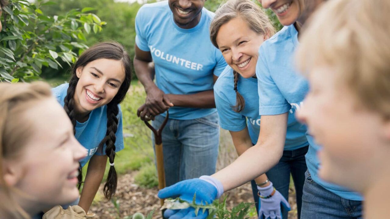 International Volunteer Day 2023 History, FAQs, Dates, Activities, and Facts About Volunteering