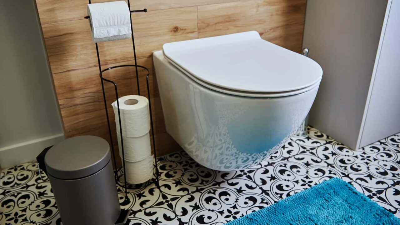 Thomas Crapper Day 2024 (UK) Activities, History, Dates, and FAQs