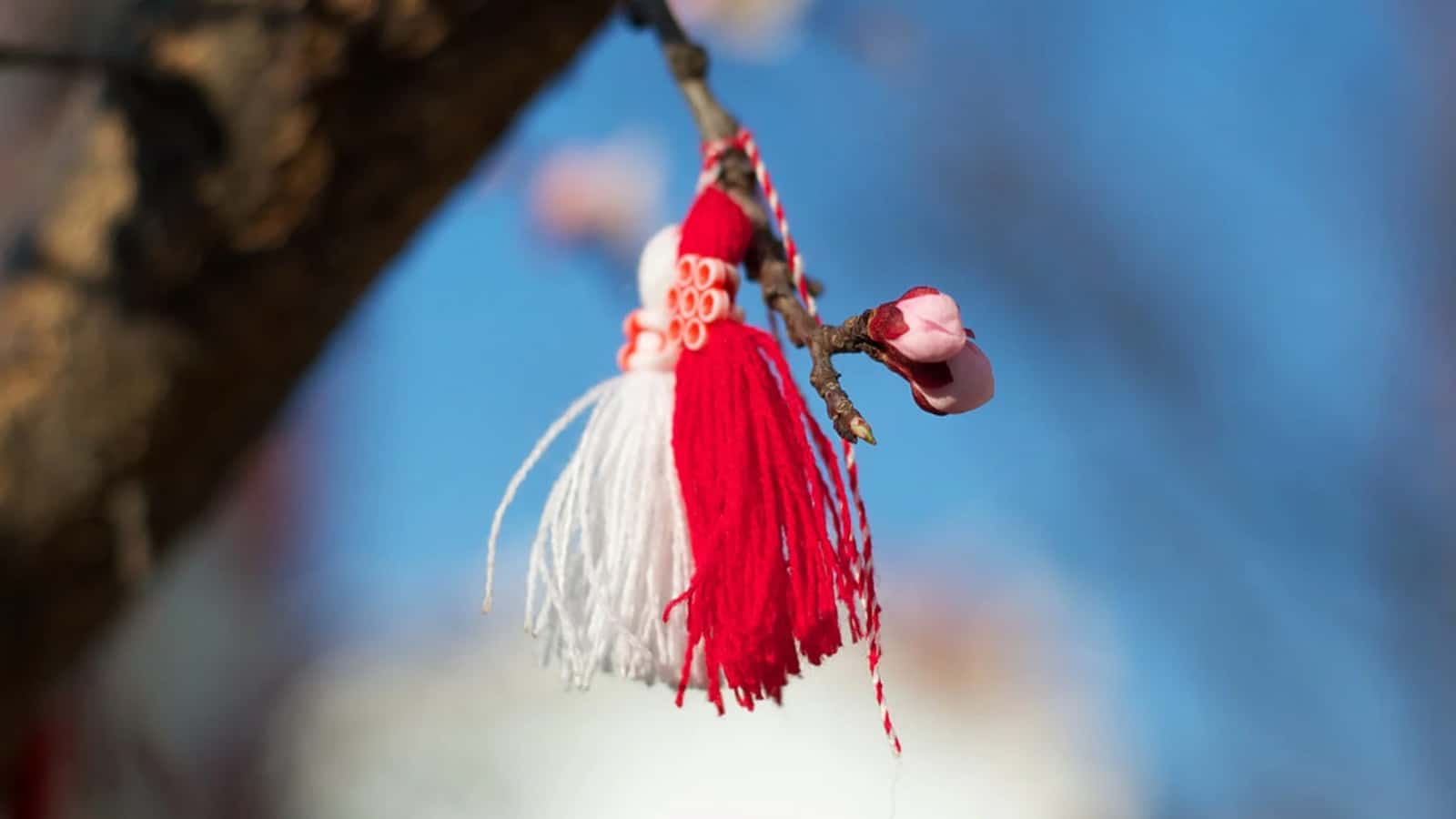 Baba Marta 2024 Activities, FAQs, Dates, History, and Facts About Martenitsa