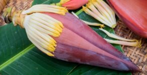 Discover the Amazing Beauty Benefits of Banana Flower