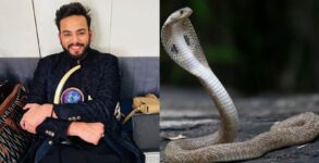 Forensic Report Confirms Snake Venom in Elvish Yadav Rave Party Case