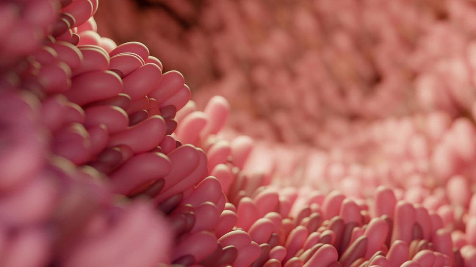 Unveiling the Mystery of the Newly Discovered 'Obelisks' Virus
