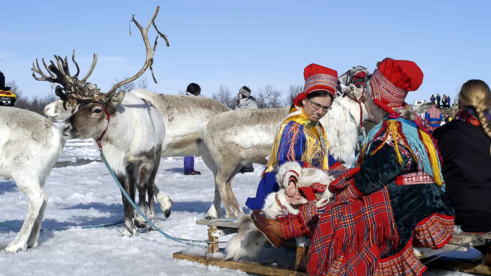 Sami National Day 2024 (Norway) Activities, History, FAQs, Dates, and Facts About Sami flag